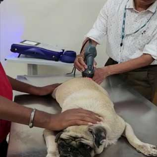 LASER THERAPY